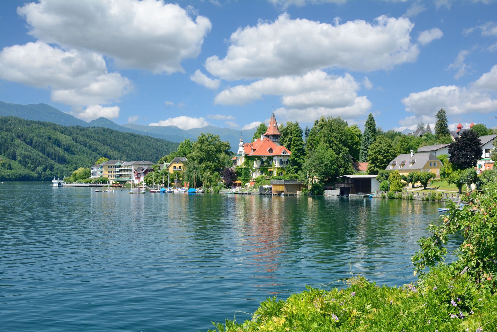 Ontdek het Salzkammergut en de Alpen vanuit Flachau, foto 6
