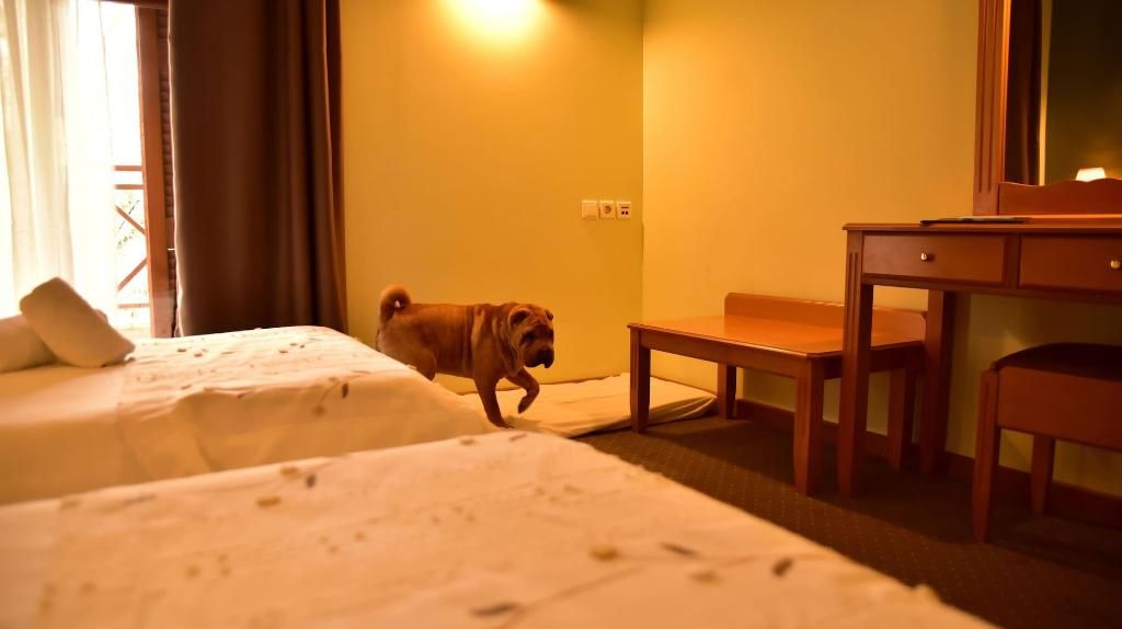 Mont Helmos Hotel, foto 14