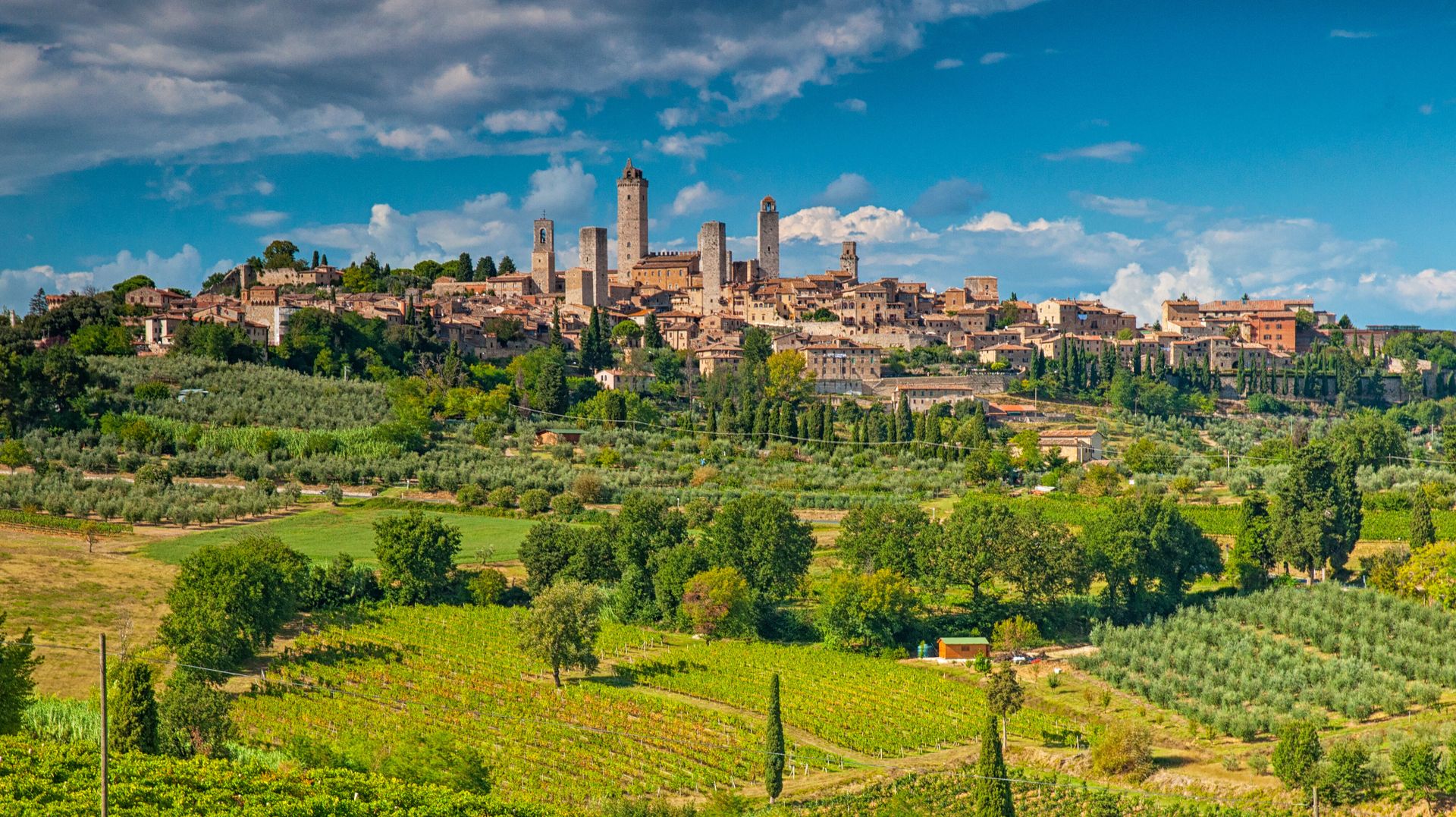 Ontdek het hart van Toscane vanuit Asciano, foto 11