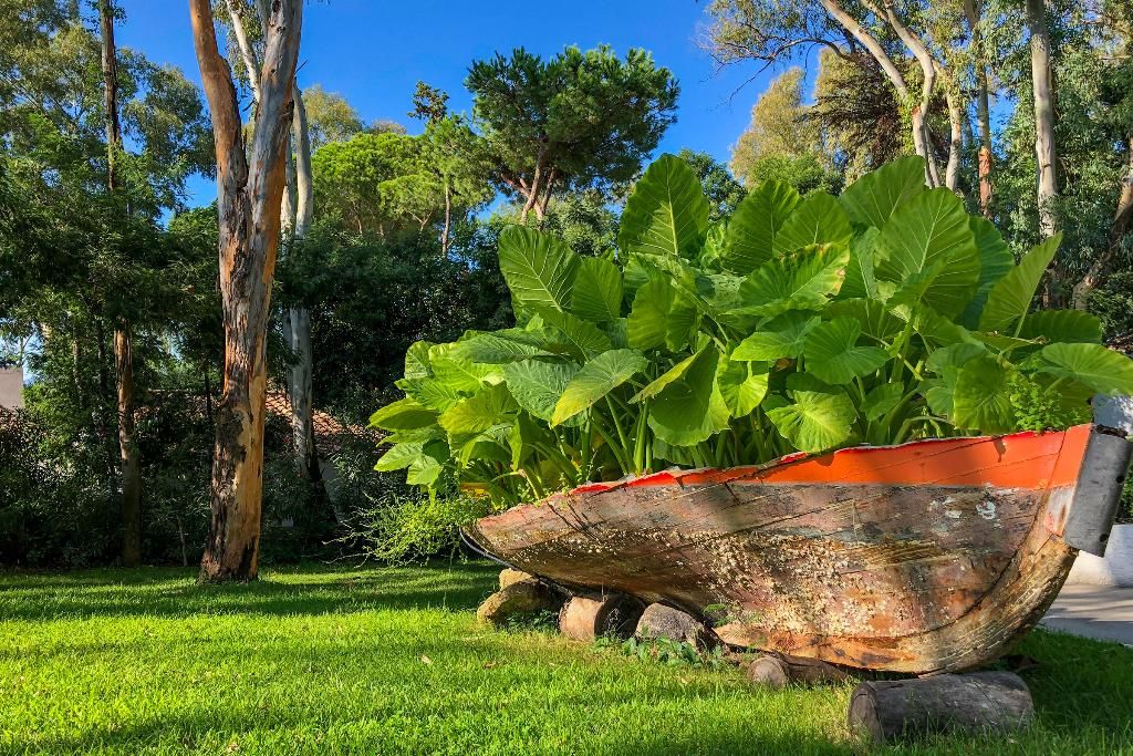 Arbatax Park Resort - Telis, foto 13