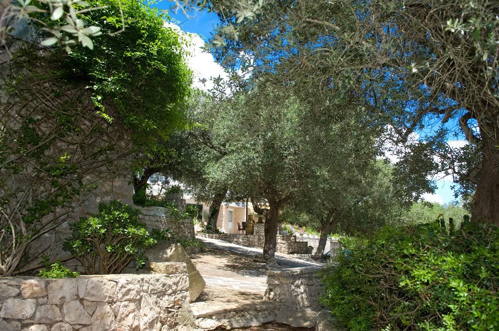 Hotel Orsa Maggiore, foto 5