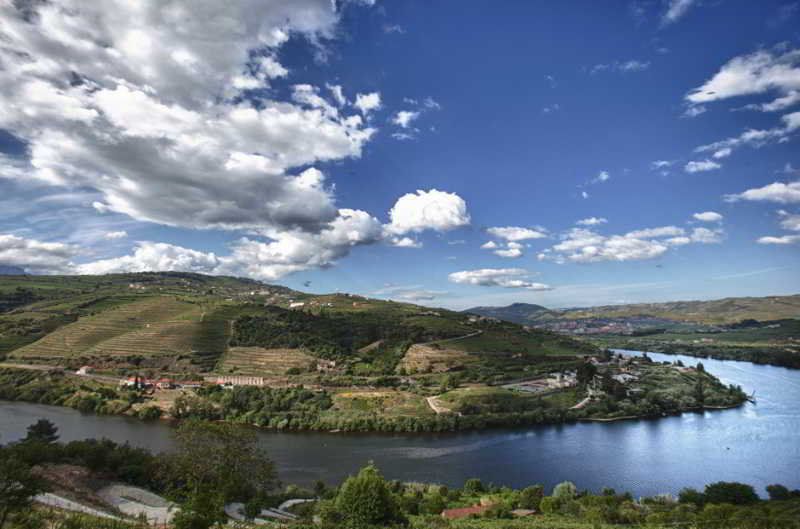 Delfim Douro, foto 13