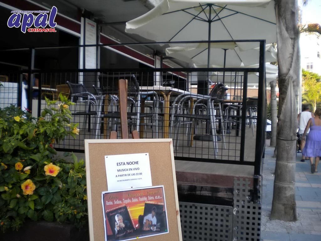 Apal Chinasol, foto 3