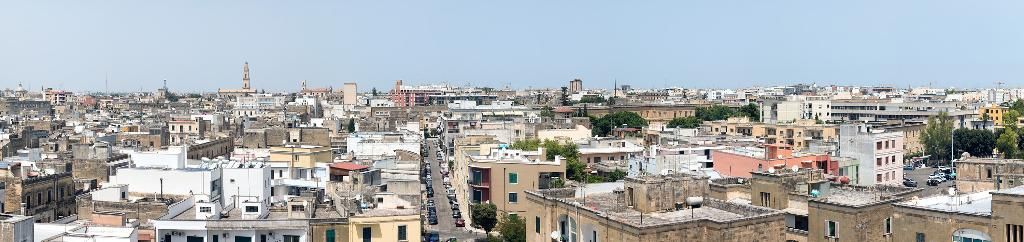 Delle Palme, foto 12