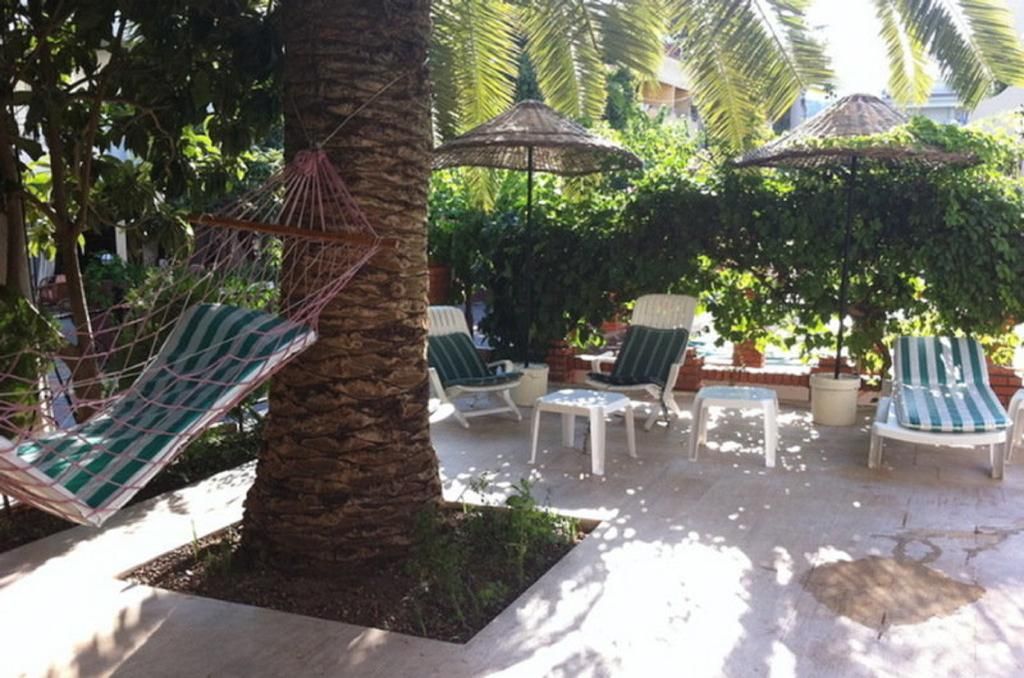 Green Palm, foto 6