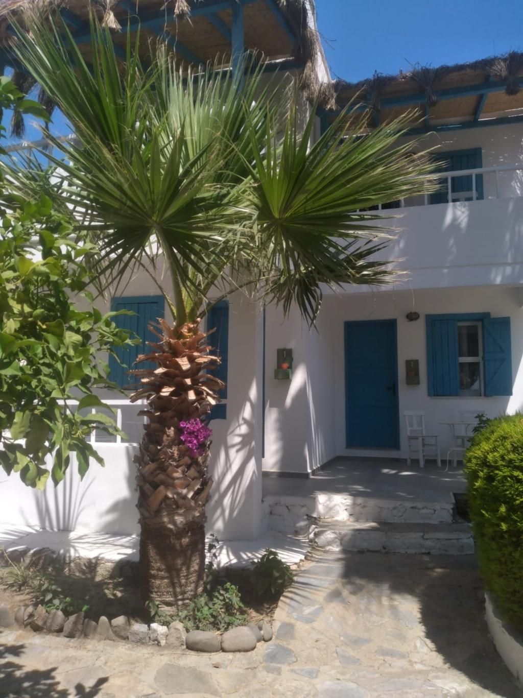 Misket Otel Bodrum, foto 15