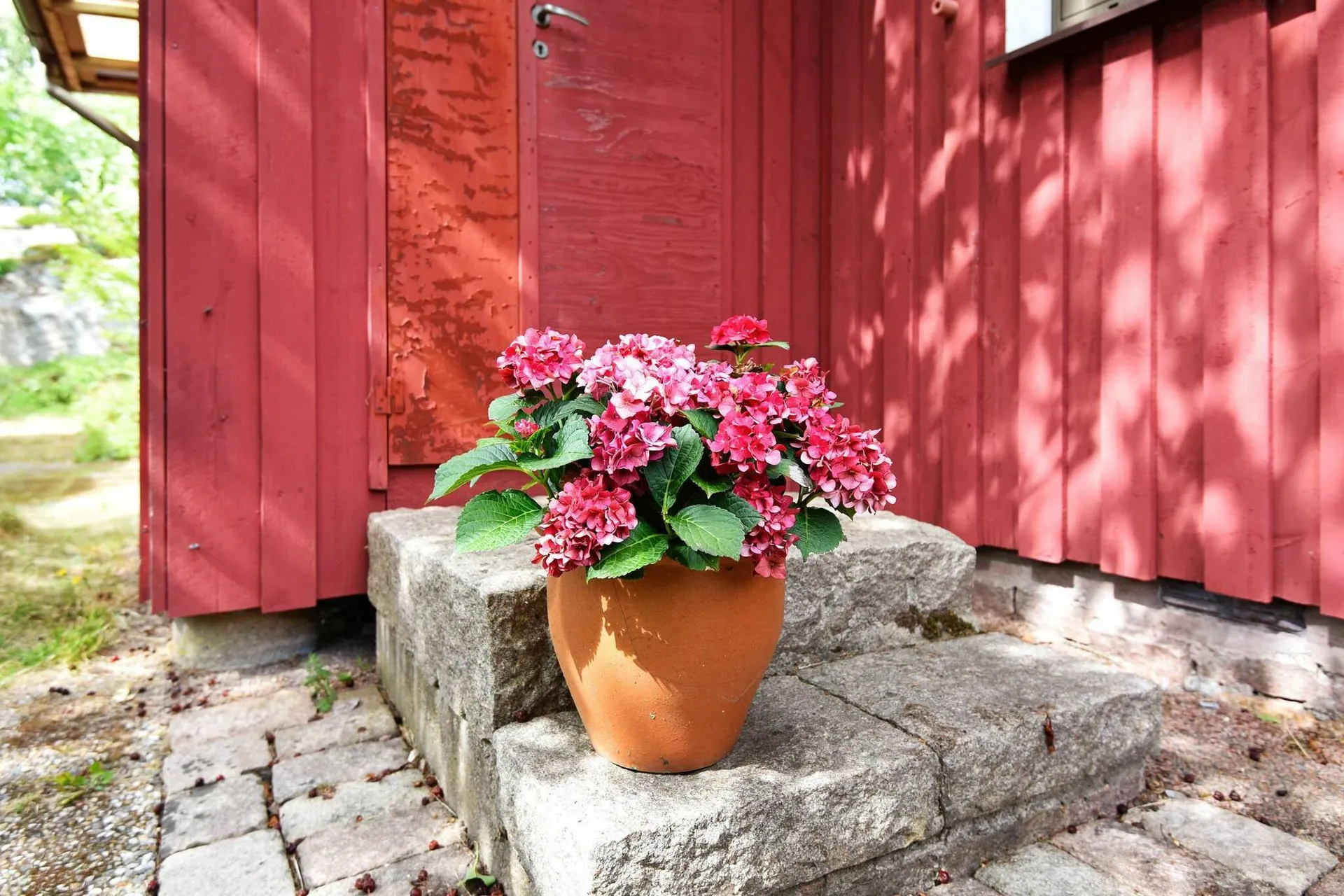 Extérieur