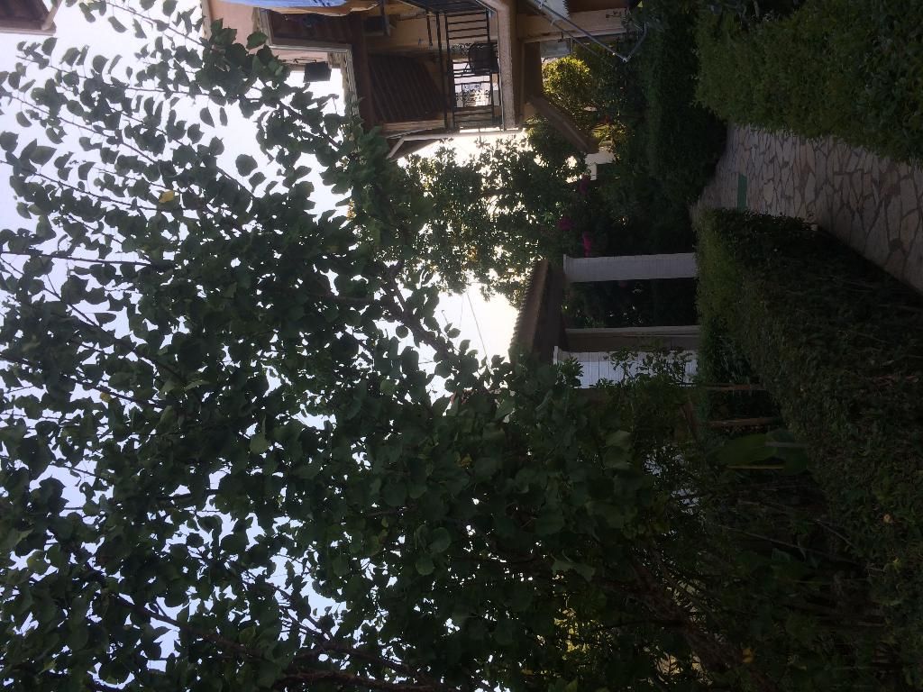 Villa Nefeli, foto 6