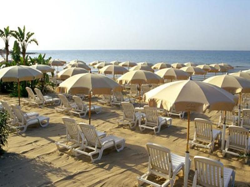 Acacia Marina, foto 14