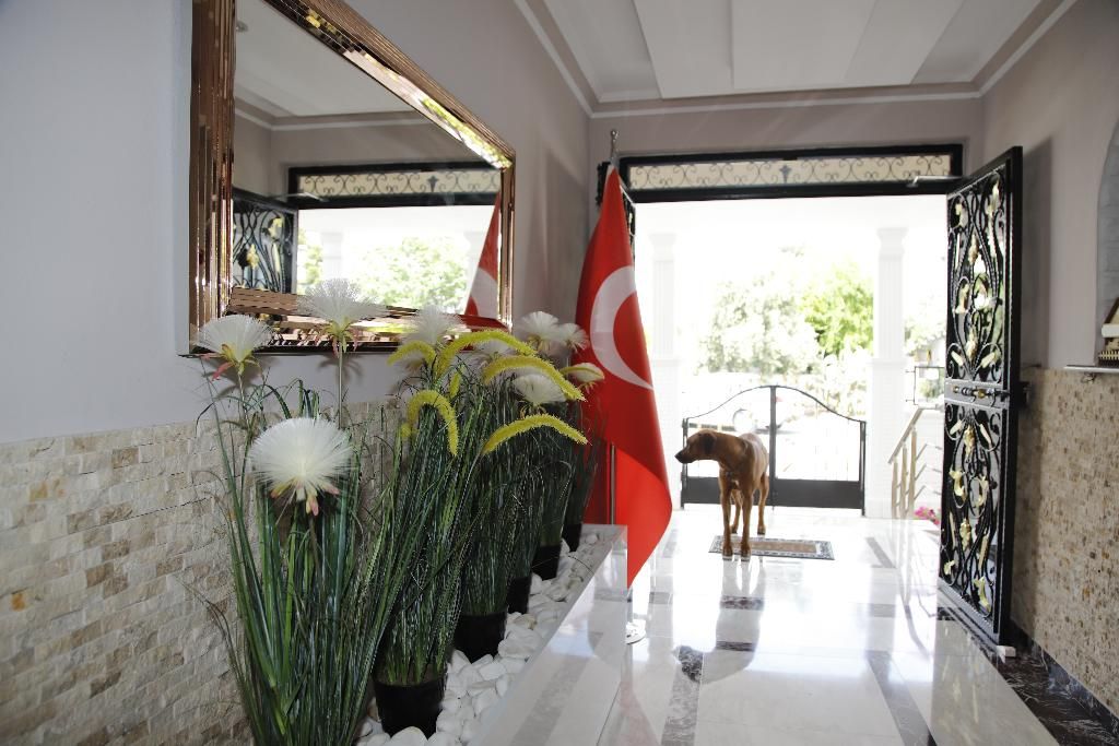 Güden Pearl, foto 5