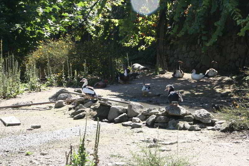 Hotel Rural Maria Da Fonte, foto 8
