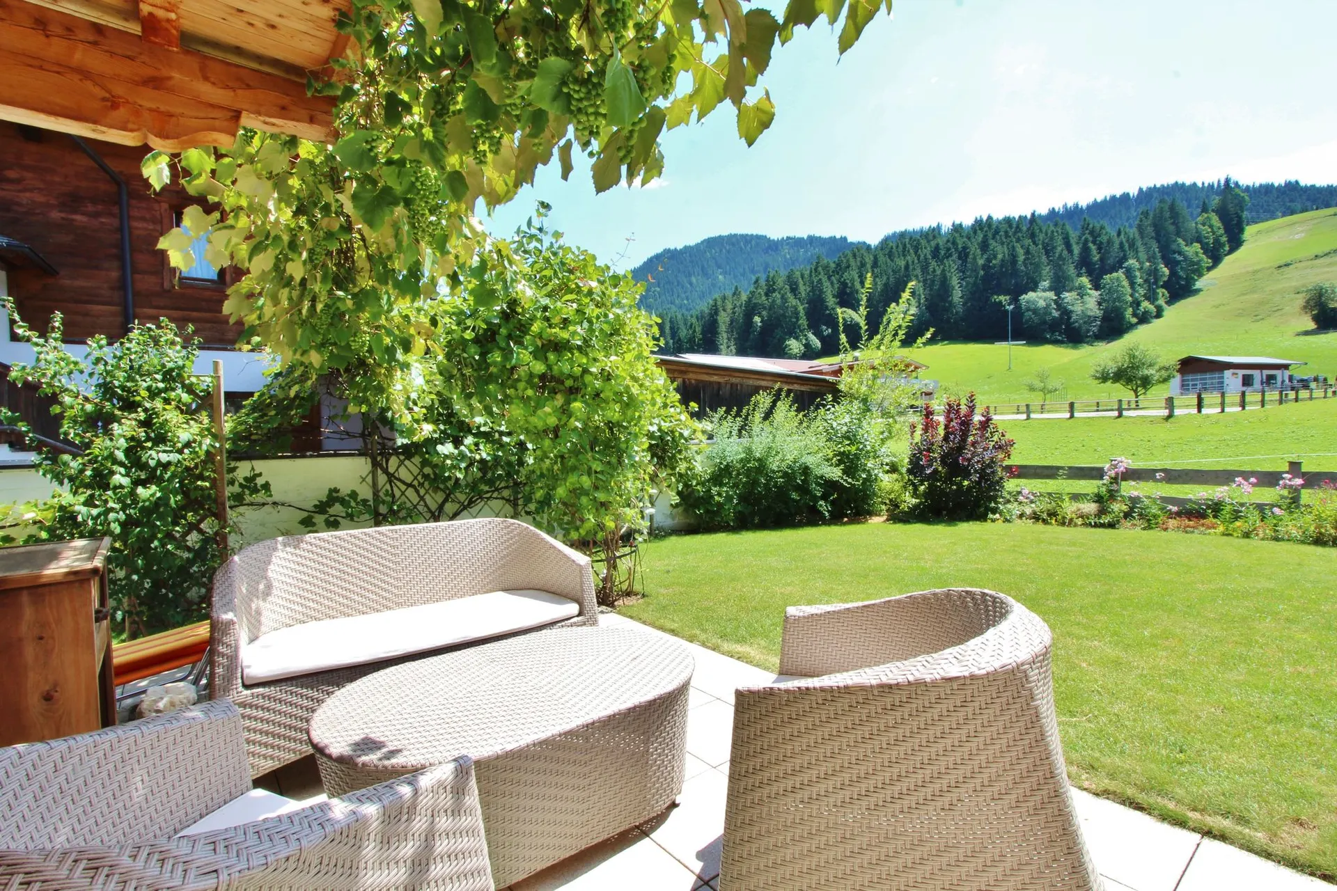 Jardin (été)
