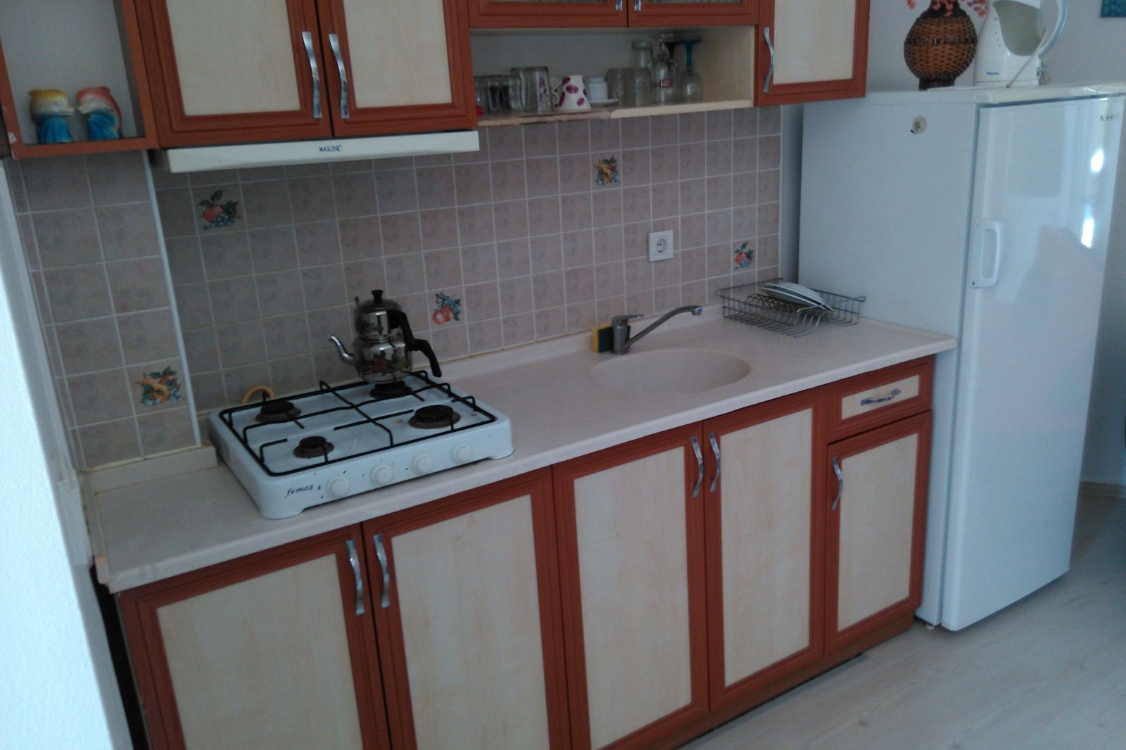 Erkin Apart, foto 15