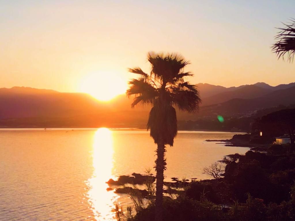 Sofitel Golfe d'Ajaccio Thalassa sea & spa, foto 9