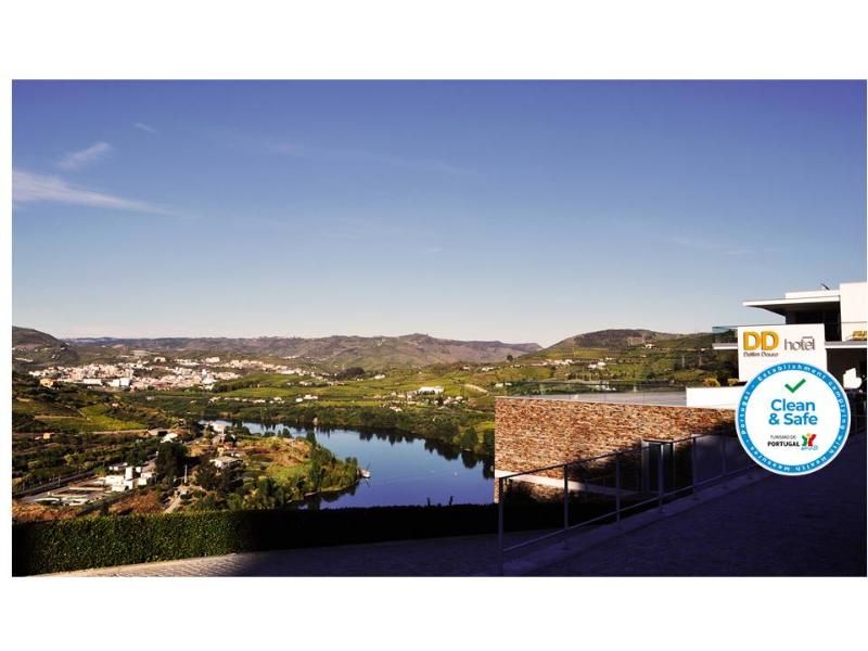Delfim Douro, foto 6