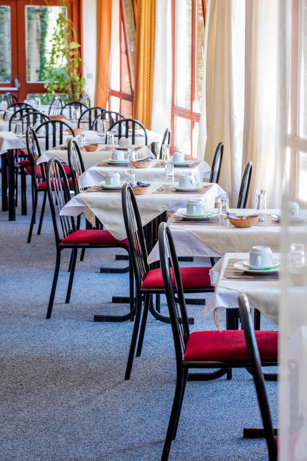 noemys Viviers-du-lac, foto 7