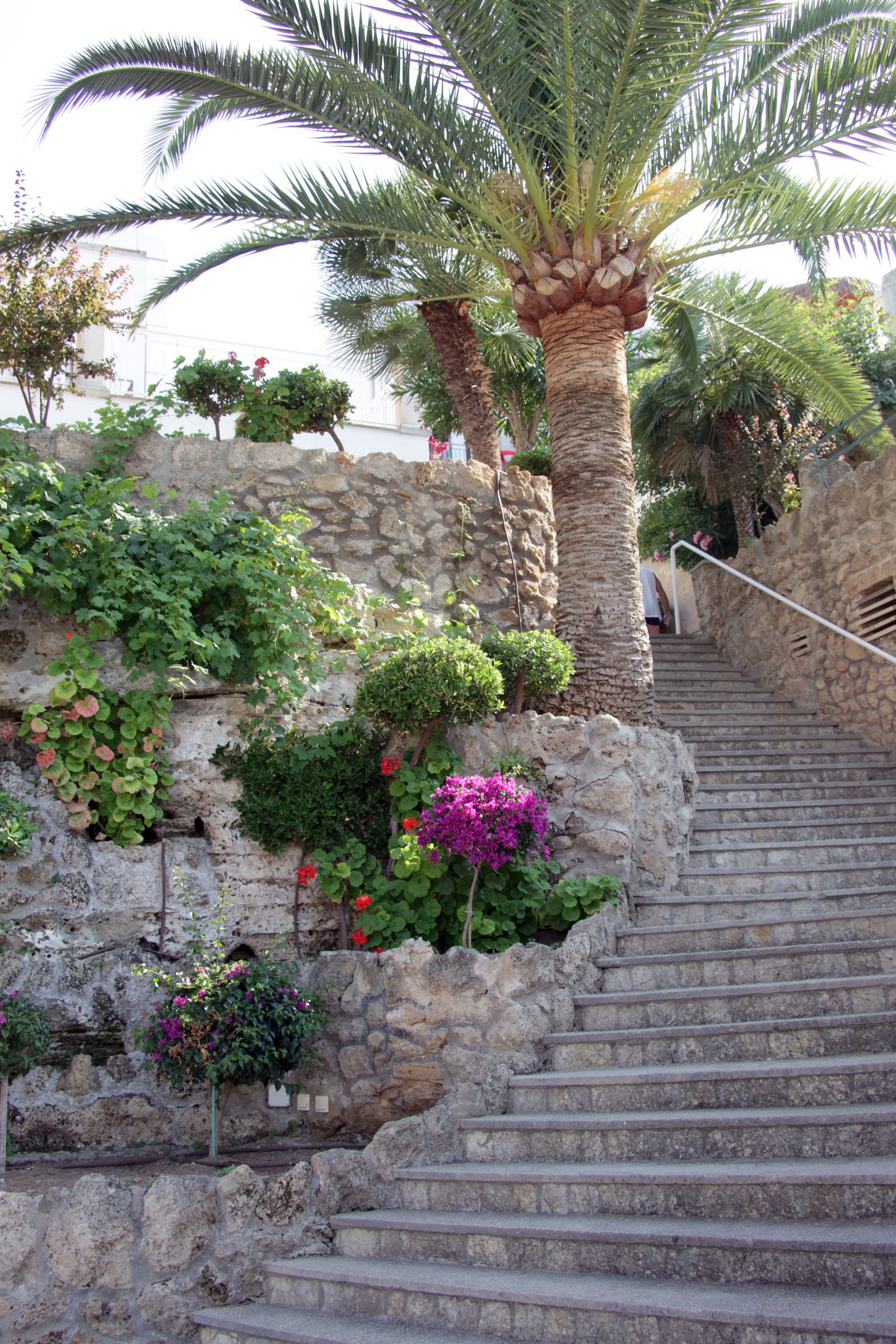 Hotel Casablanca, foto 7