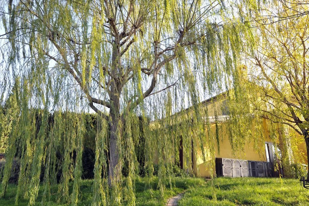 Il Podere Del Germano Reale, foto 2