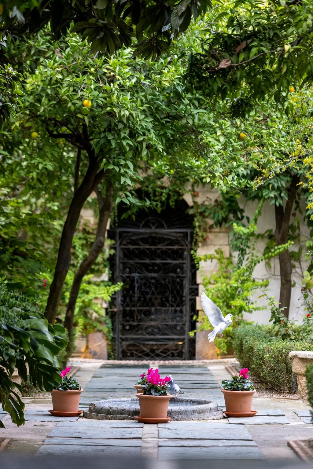 Hospes Palacio del Bailío, foto 11