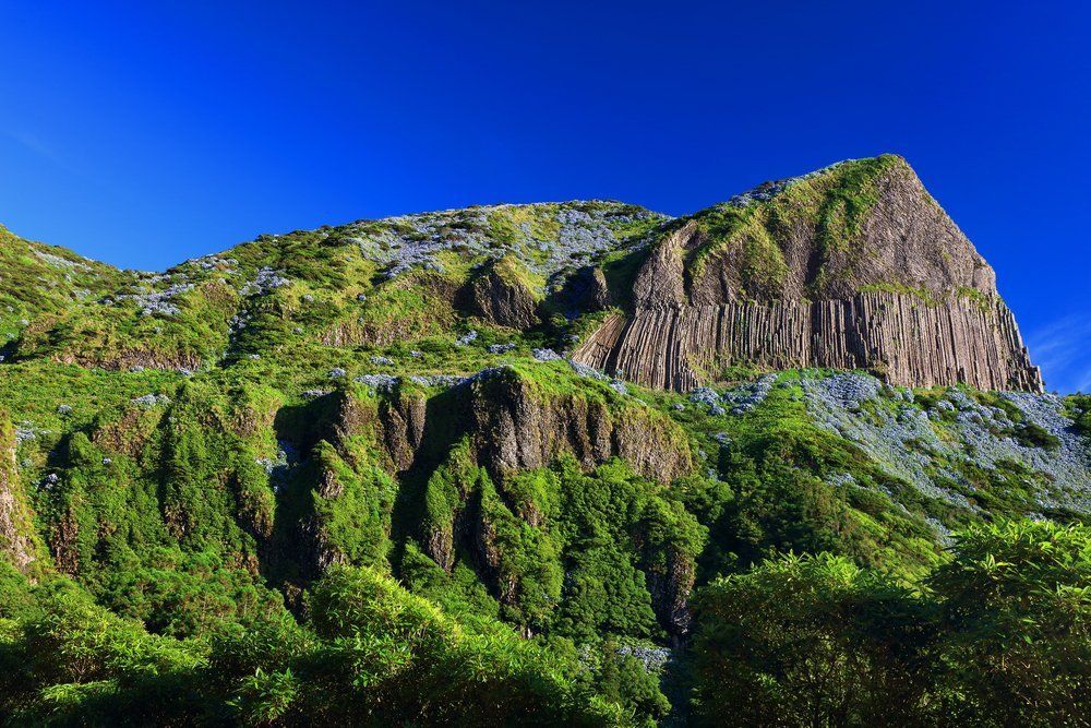 Ontdek Sao Miguel & Flores per huurauto, foto 8