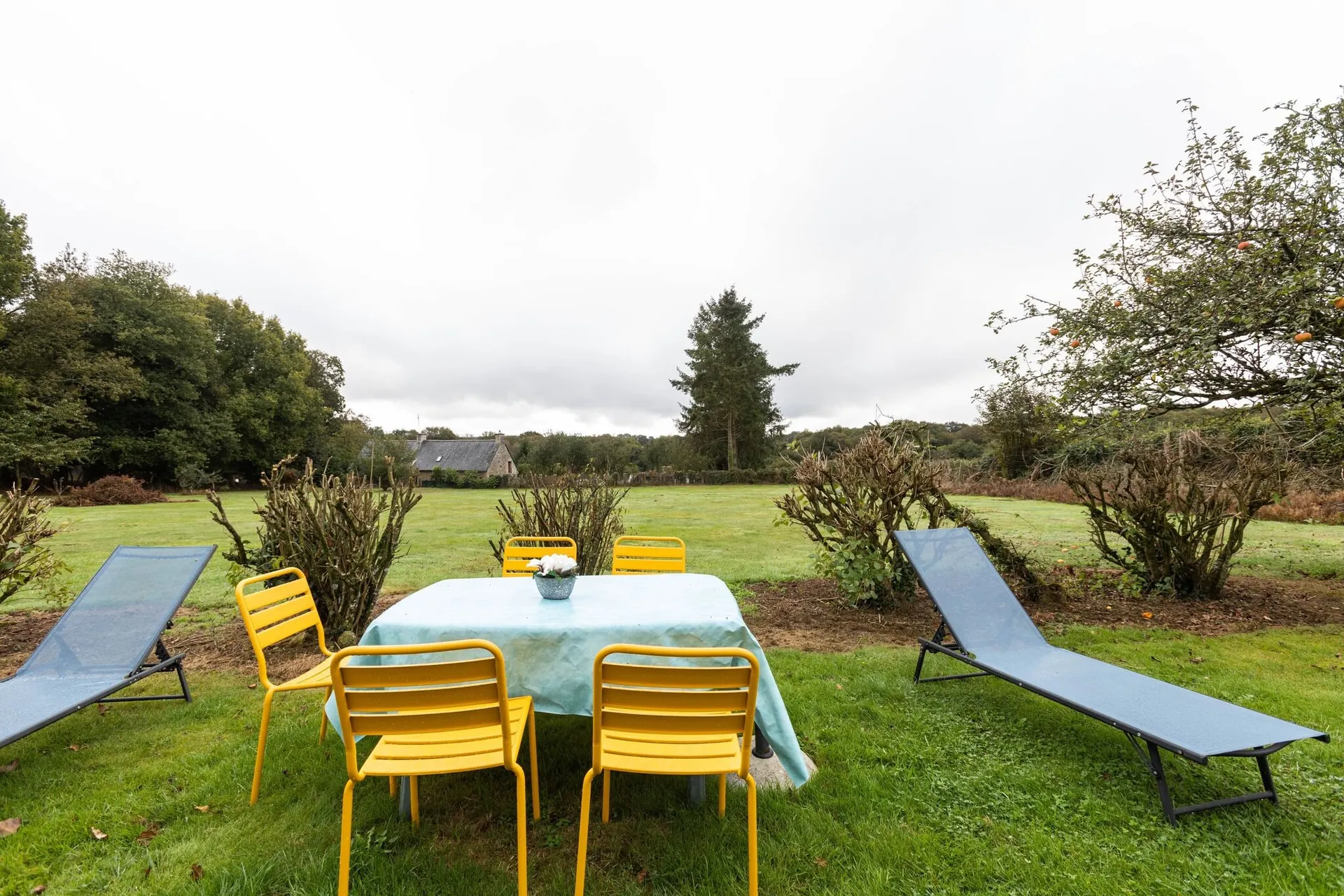 Jardin (été)