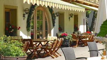 Terras