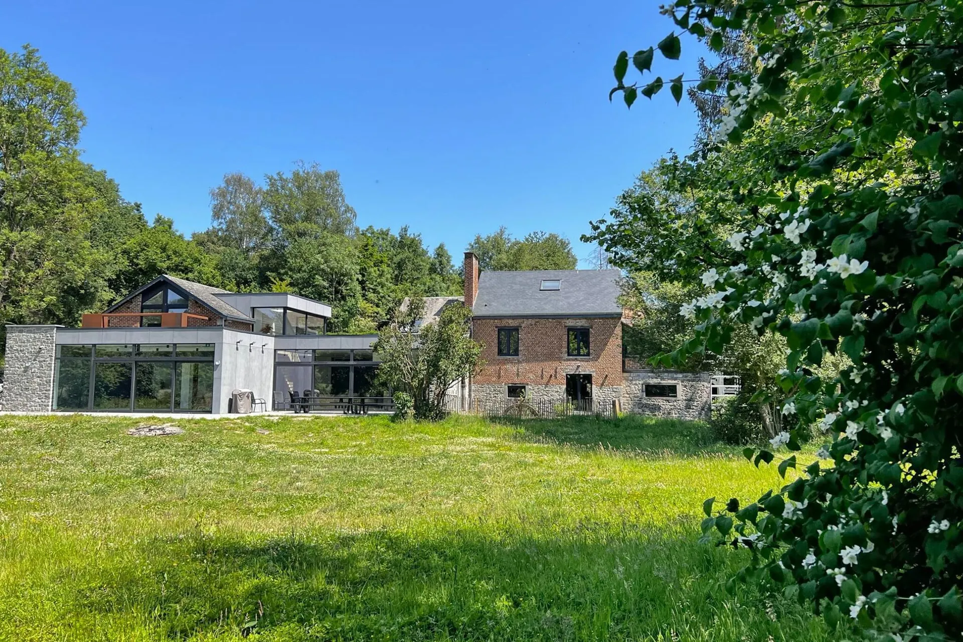 Jardin (été)