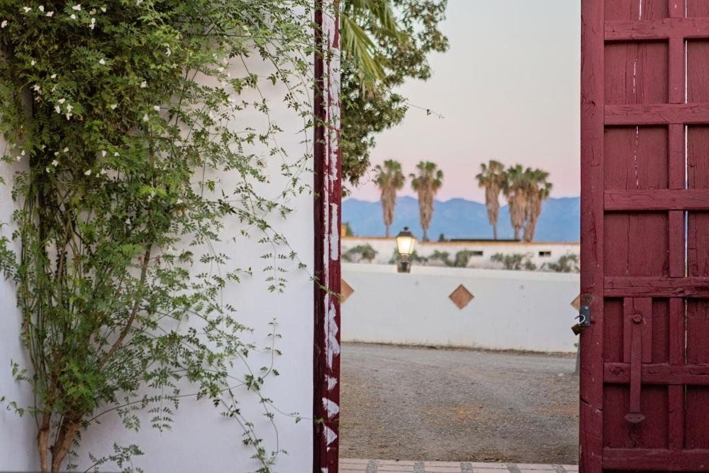 Cortijo del Arte, foto 13