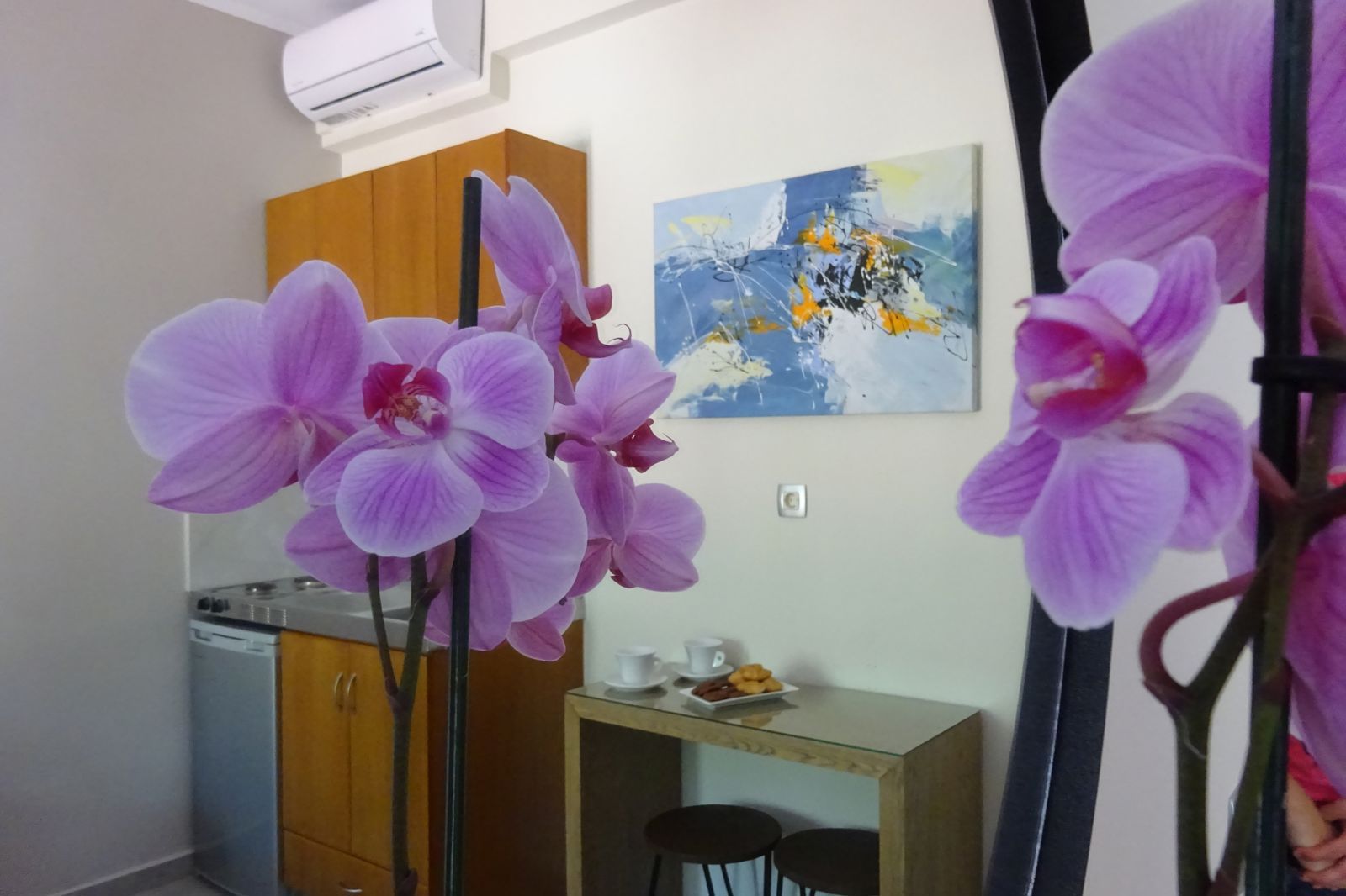 Dokos Studios, foto 11