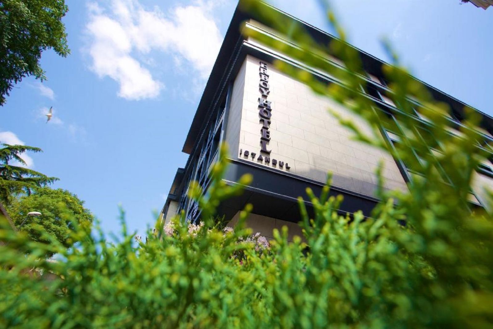 Erboy Hotel, foto 2