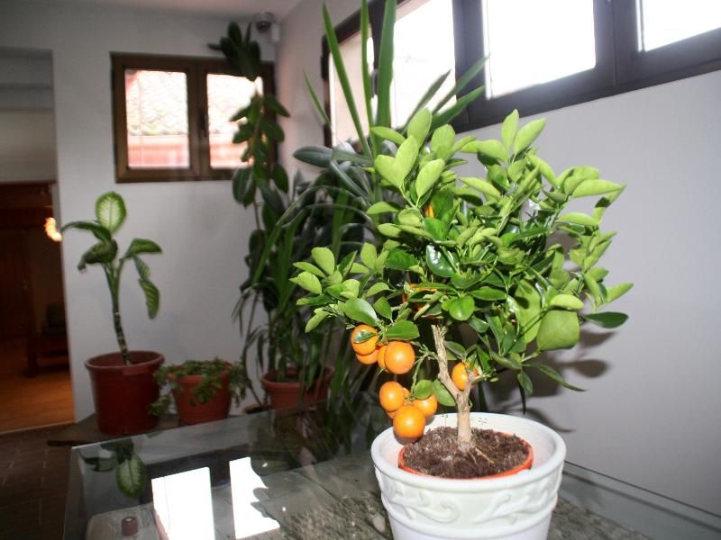 Venta Magullo, foto 14