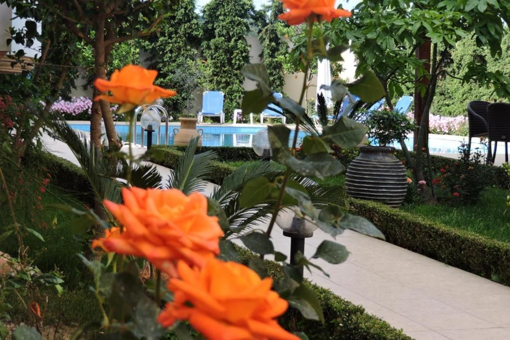 Golden Rose Suites, foto 13