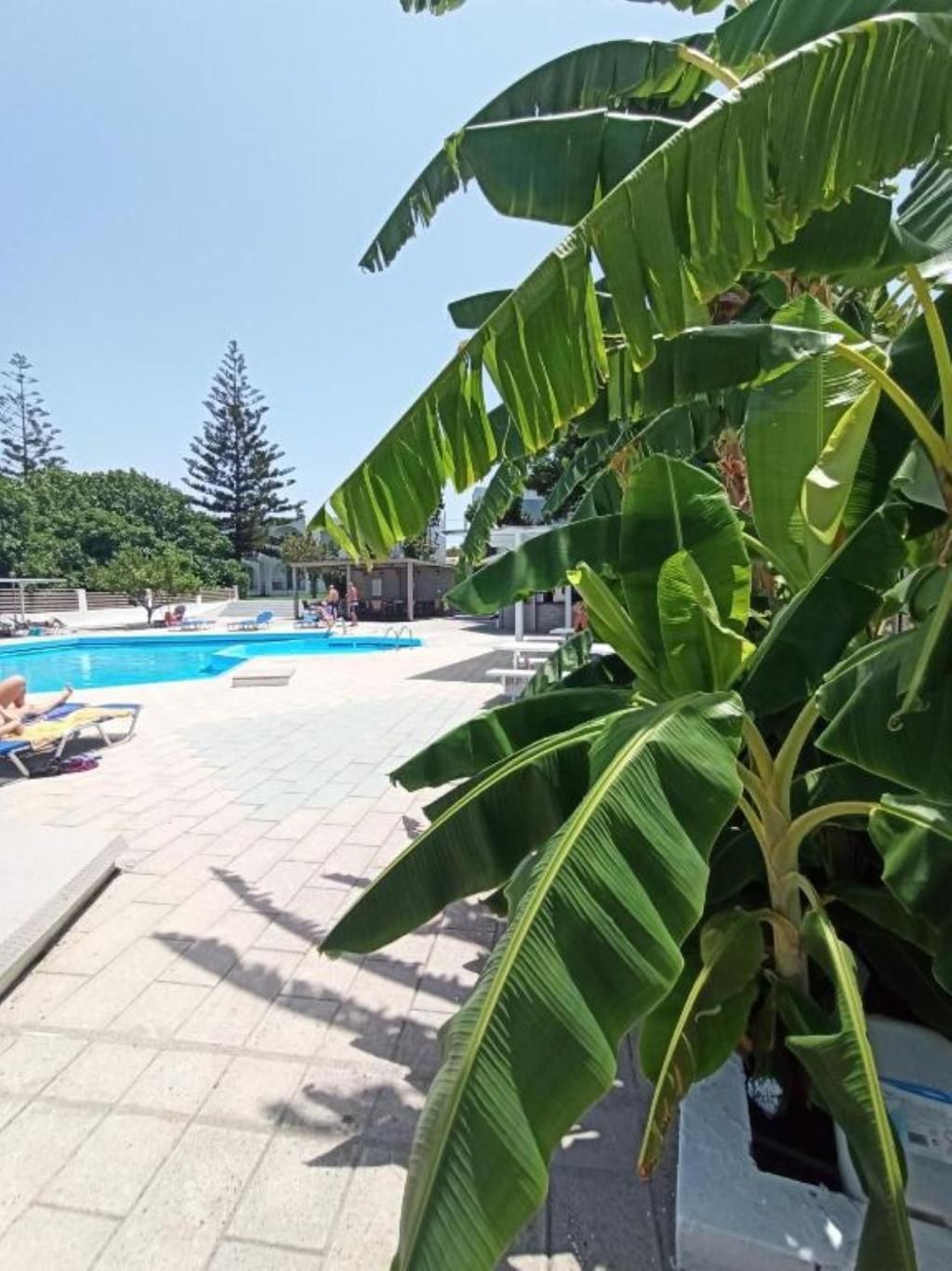 Summer Dream Hotel, foto 14