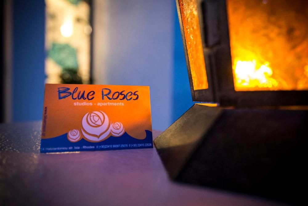 Blue Roses, foto 11