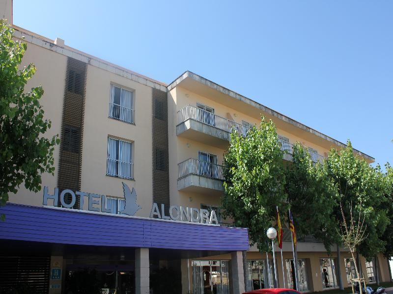 O7 Alondra, foto 11