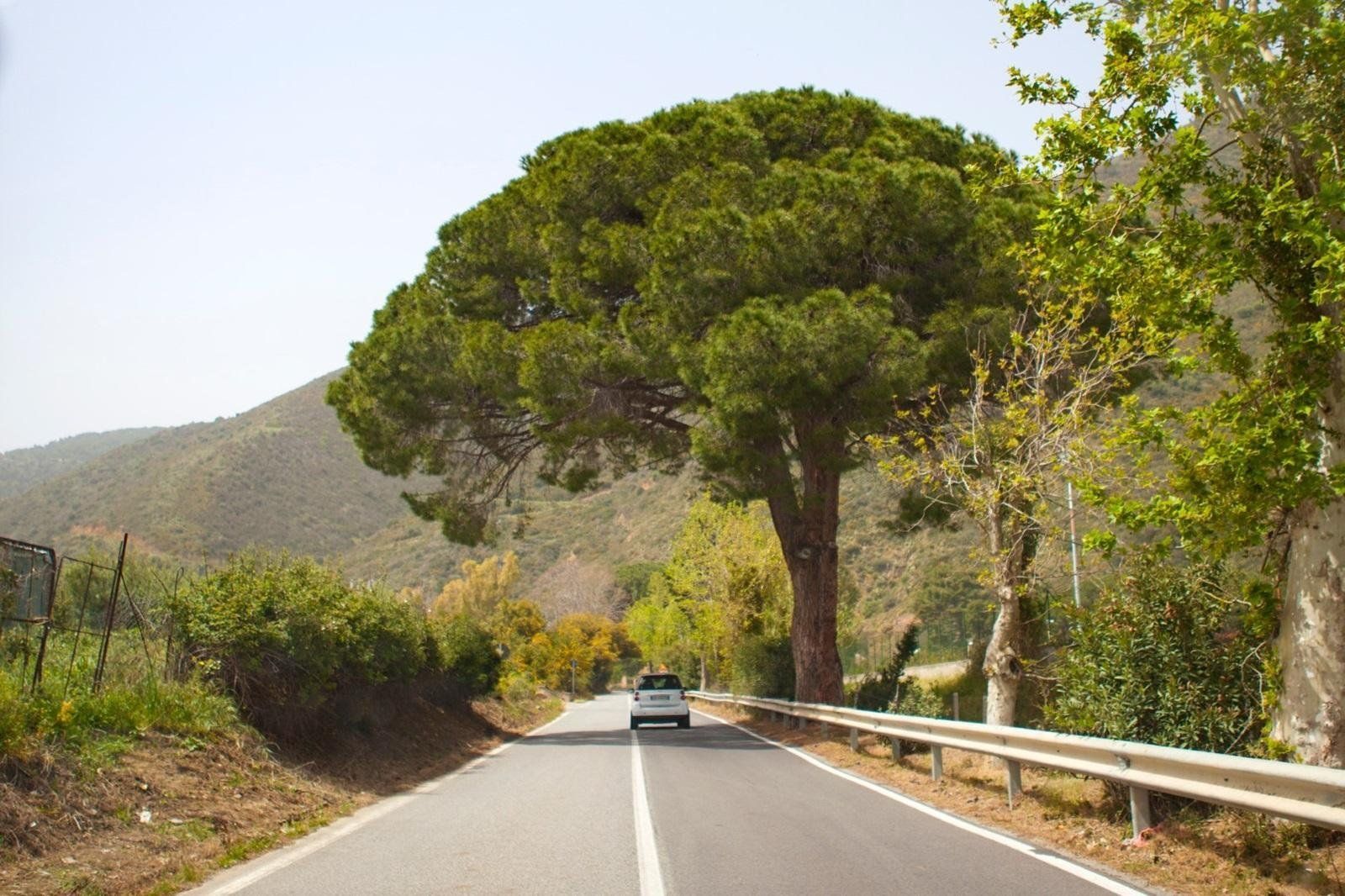 Fly-drive 8 dagen: Ontdek Sicilië, foto 2