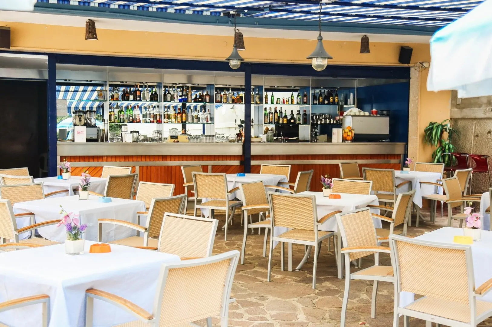 Terras