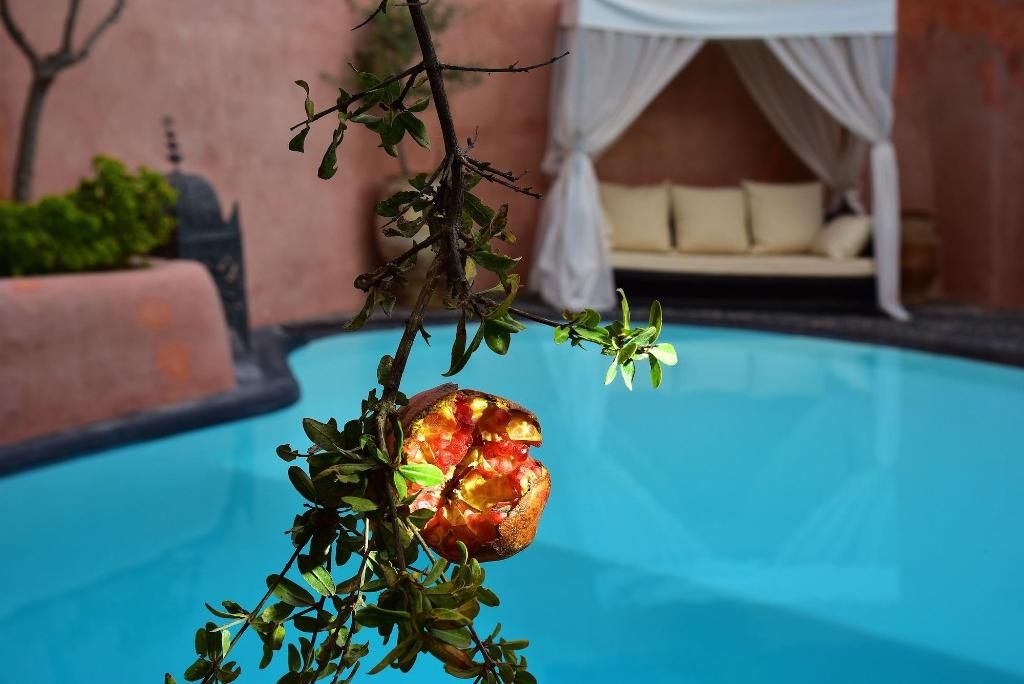 Ducato The Wine Hotel & Villas, foto 14