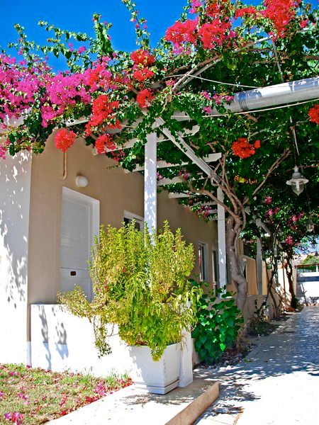 Sacallis Inn Beach Hotel, foto 15