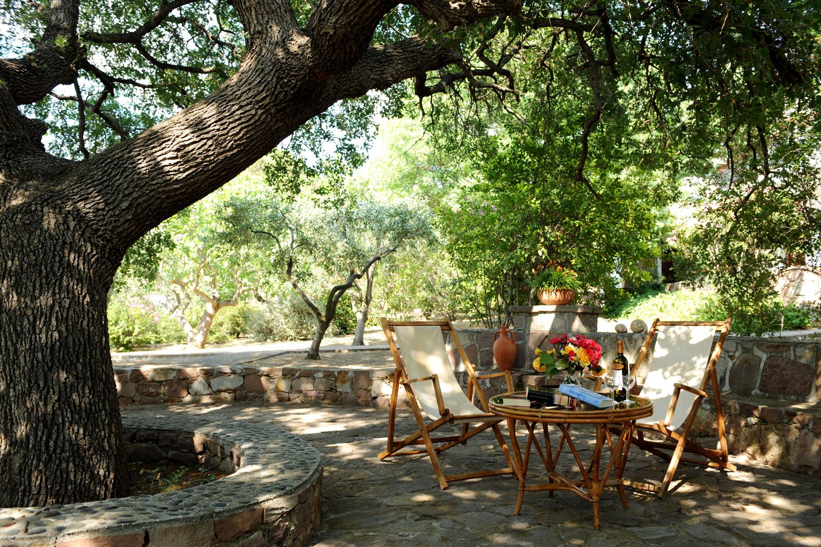 Delfinia Hotel & Bungalows, foto 8