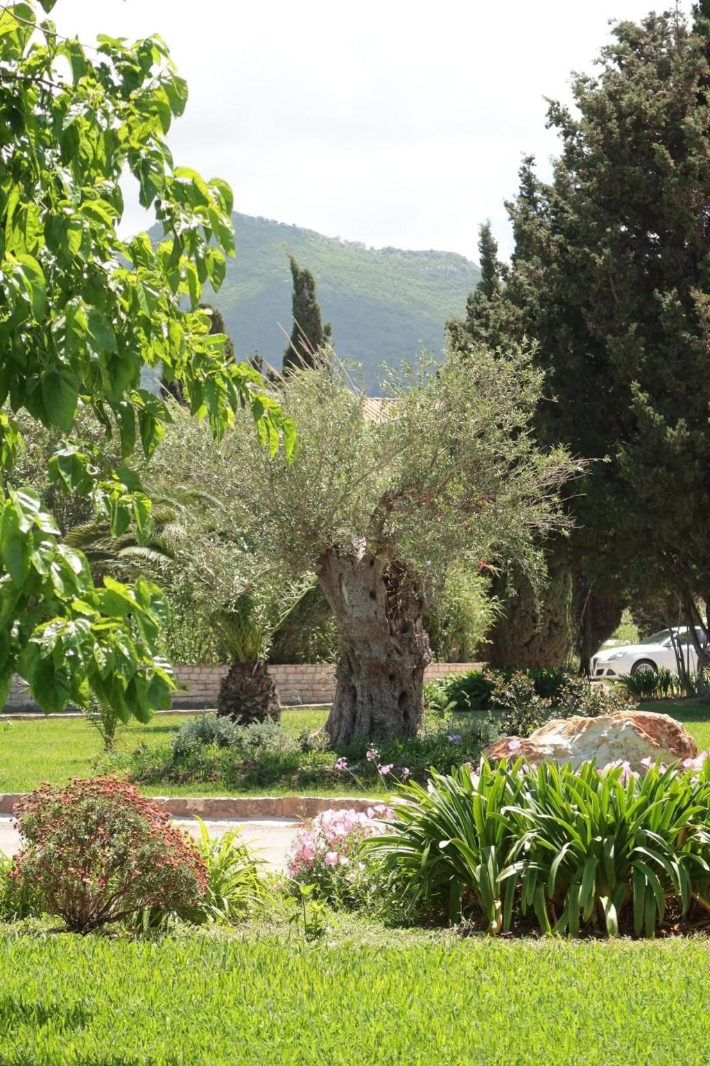 St. George's Bay Country Club, foto 14