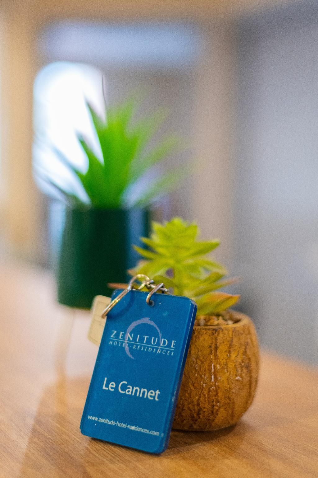 Zenitude Hôtel-Résidences - Le Cannet, foto 15