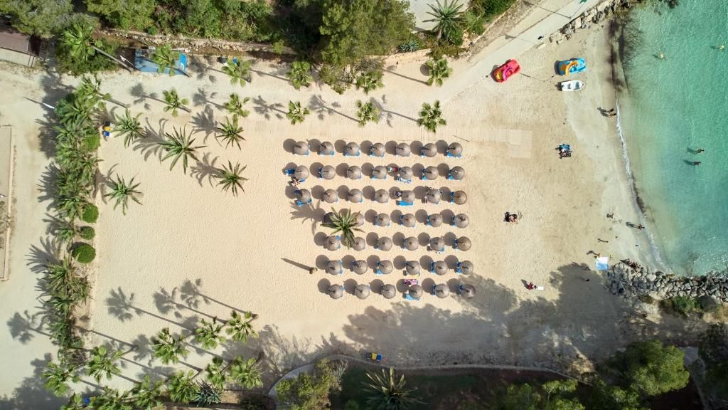 Occidental Cala Viñas, foto 10