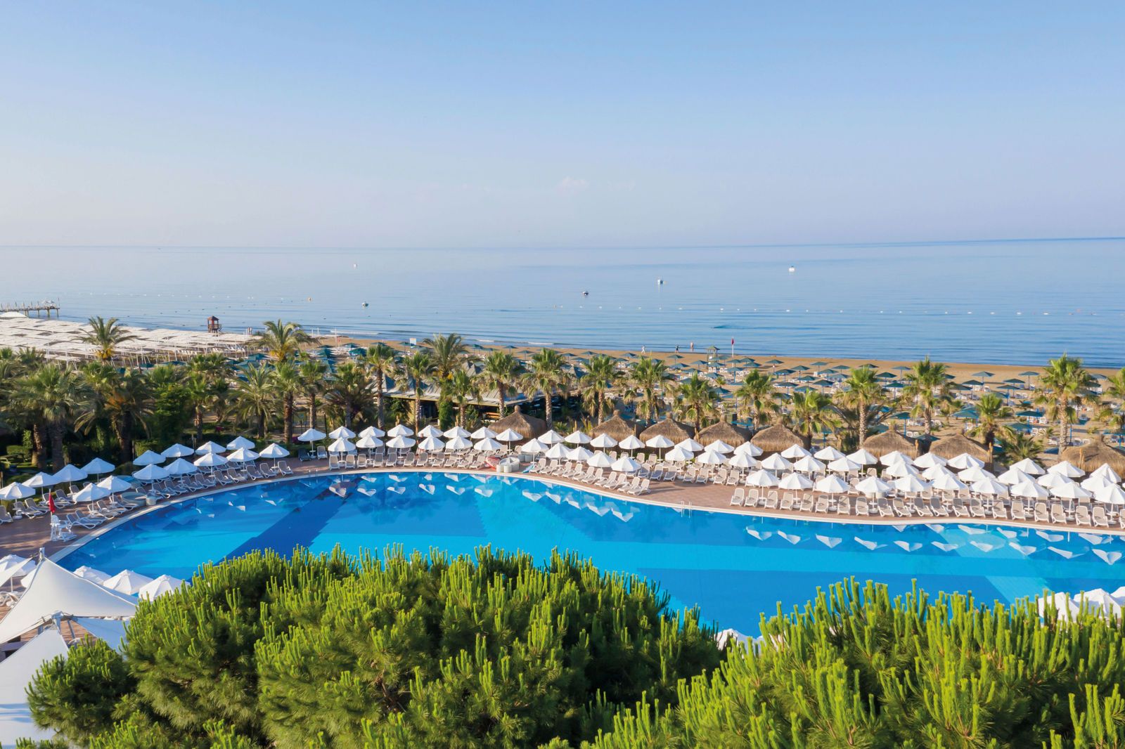 Paloma Oceana, foto 2