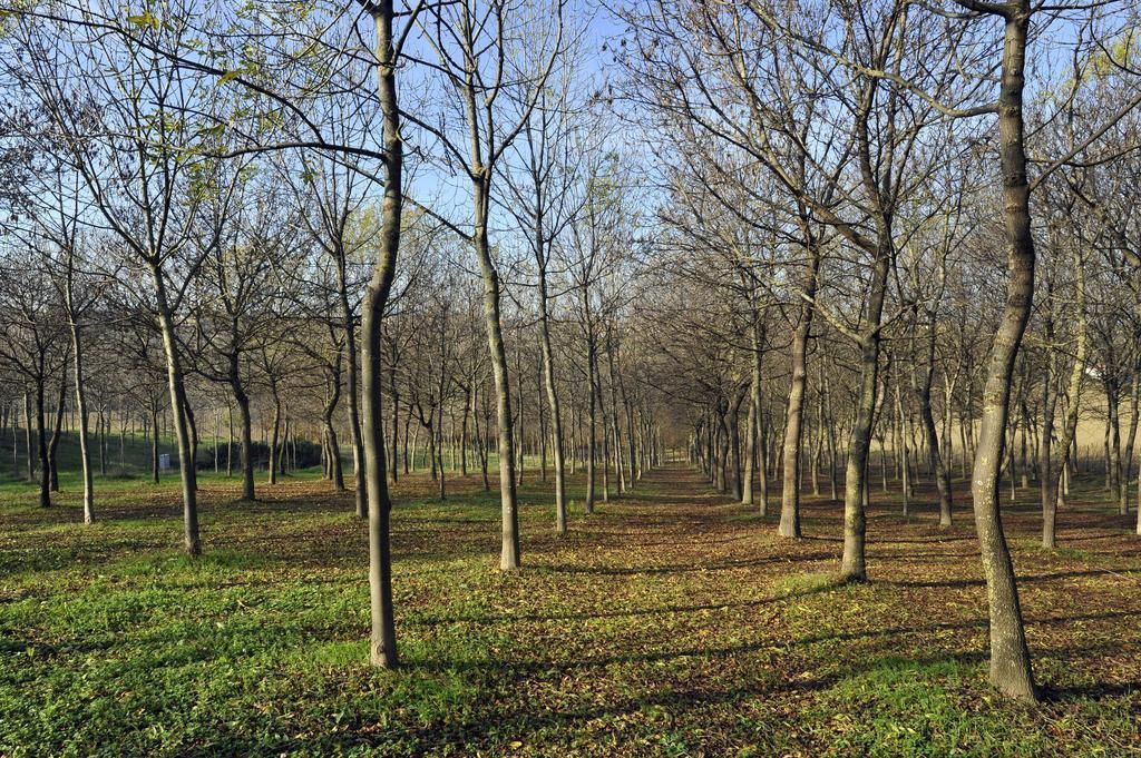 Il Podere Del Germano Reale, foto 3
