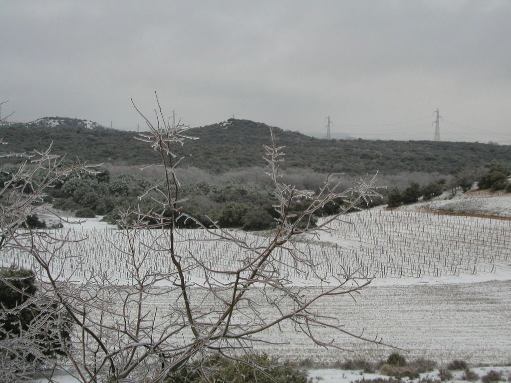 Domus Selecta Torremilanos, foto 10