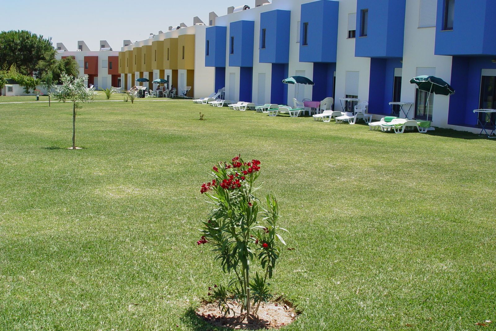 Quintinha Village, foto 13