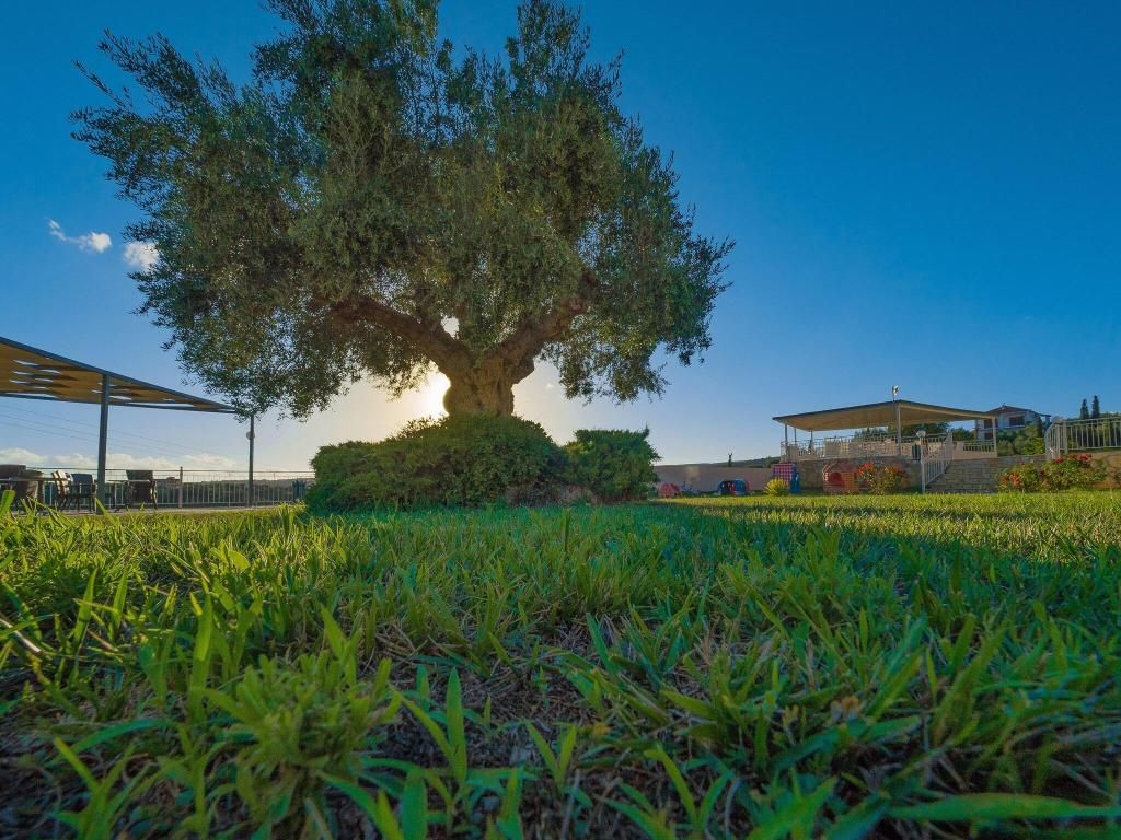 Panorama Resort, foto 13