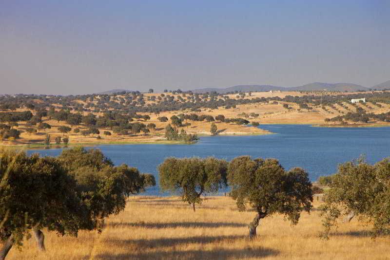 Betica, foto 2