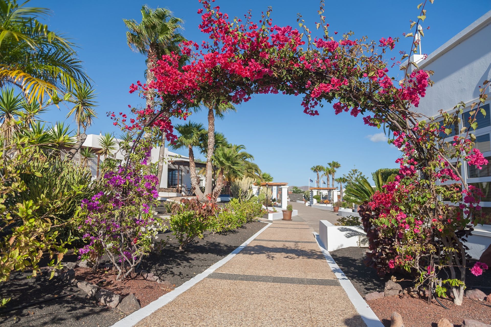 Jardines del Sol, foto 14